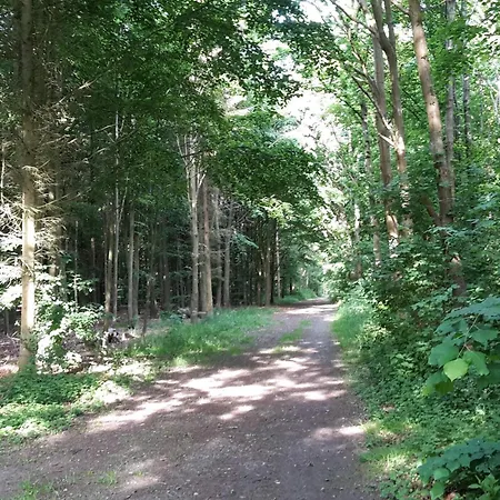 Semesterbostad 10 Person In Marstal-by Traum